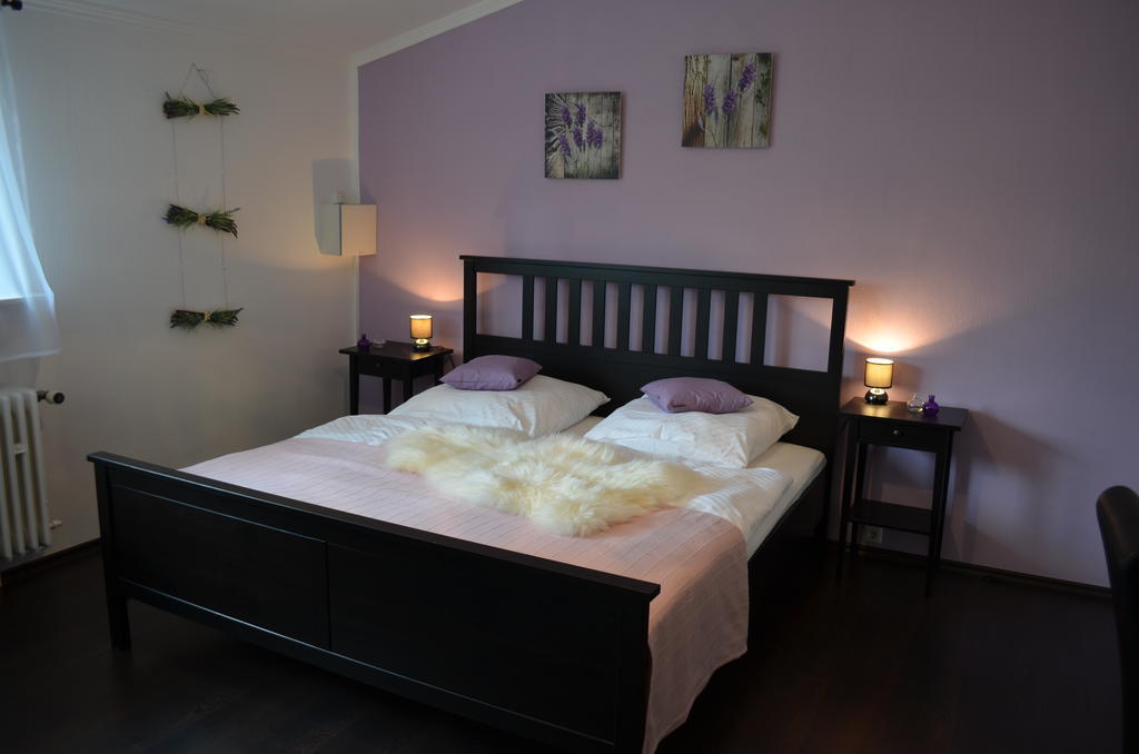 Wolfschlucht Hotell Rodgau Rum bild